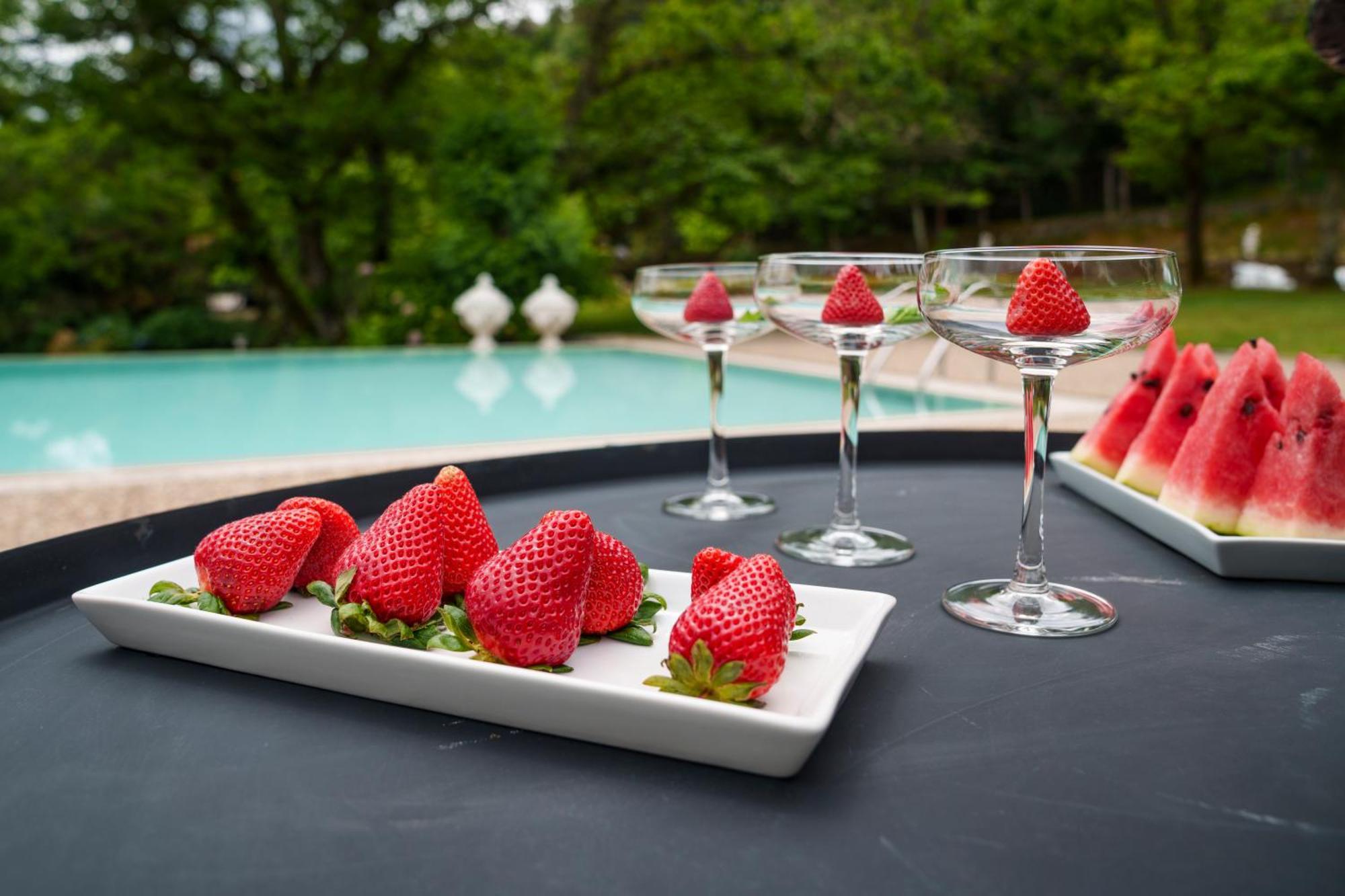 The Fox House - Private Villa & Nature 사오페드로도술 외부 사진