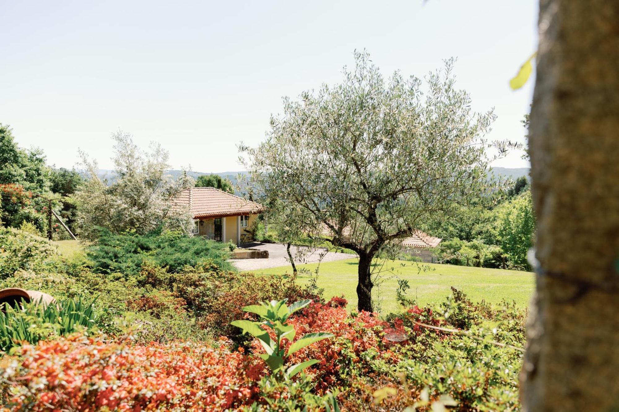 The Fox House - Private Villa & Nature 사오페드로도술 외부 사진